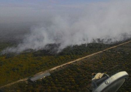 Riau Kembali jadi Sentral Titik Panas di Sumatra
